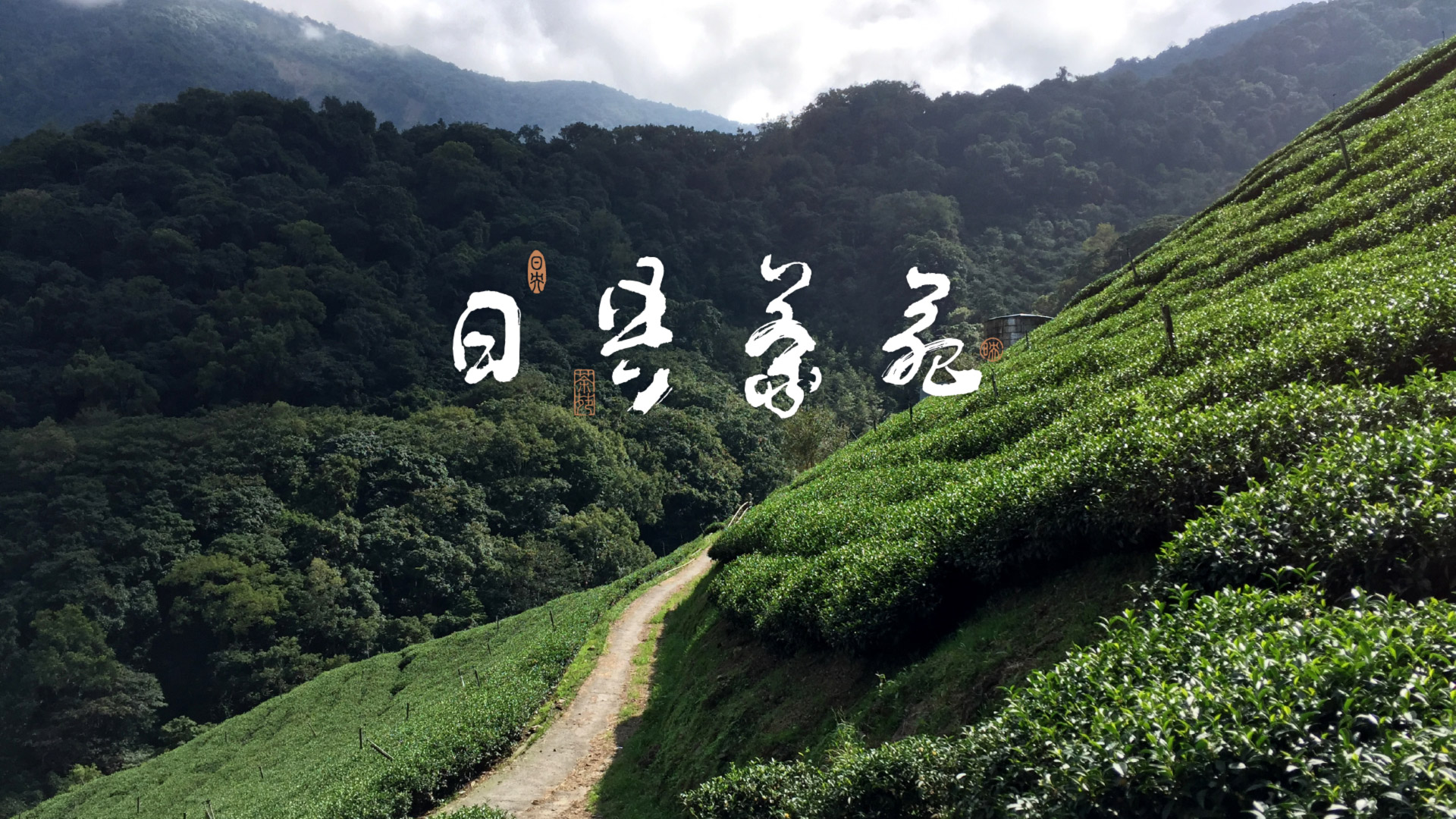 Riyang Teayard – Tea from Taiwan to You